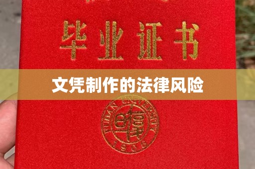 修水文凭制作的法律风险